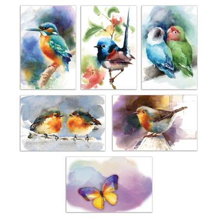 BETTER OFFICE PRODUCTS All Occasion Greeting Cards & Envs, 4in. x 6in. 6 Butterfly & Birds Designs, Blank Inside, 50PK 64564